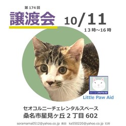 三重県桑名市10月11日(日)リトルパウエイド譲渡会