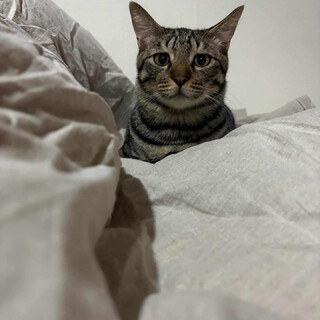 触れないとダメですか？かんろ