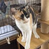 人が大好き可愛い性格の女の子小夏ちゃん サムネイル7