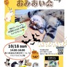 10/18譲渡会】生後３ヶ月、食いしんぼ娘！やっこ サムネイル7