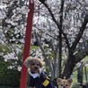 まりなあ