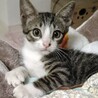 人も猫も犬も大好きな男の子です サムネイル3