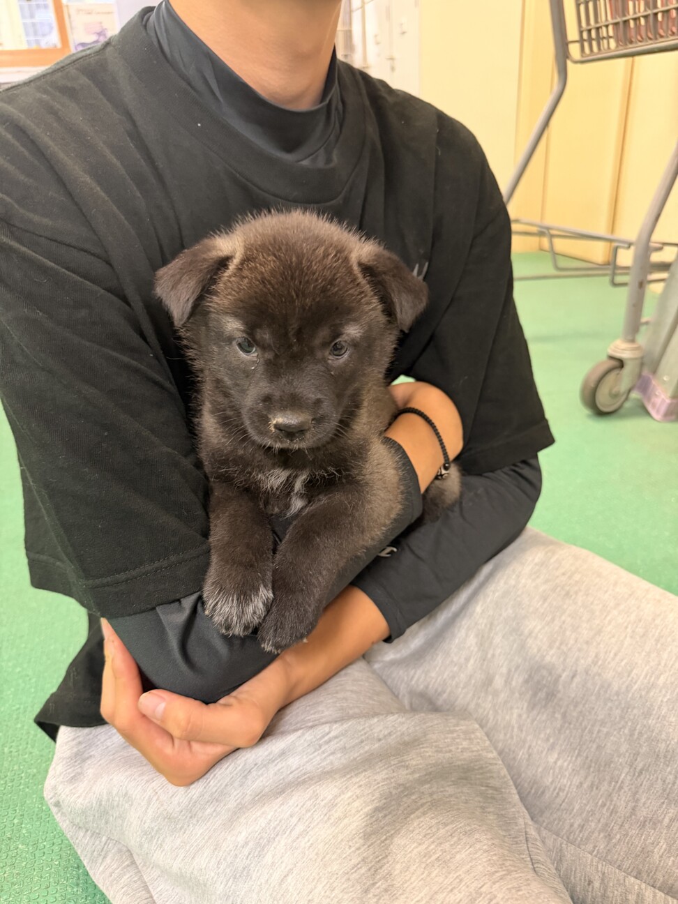 元気いっぱい、人も犬も大好き！幼い女のコ　 サムネイル7