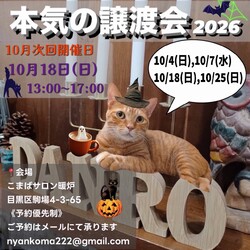 本気の譲渡会