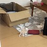 【生後2ヶ月】子猫の里親さんを探しています サムネイル7