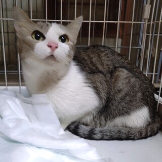 幸せを結びます ♡ “むすび” ちゃん