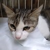 幸せを結びます ♡ “むすび” ちゃん サムネイル4