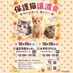 保護猫譲渡会in遠石市民センター