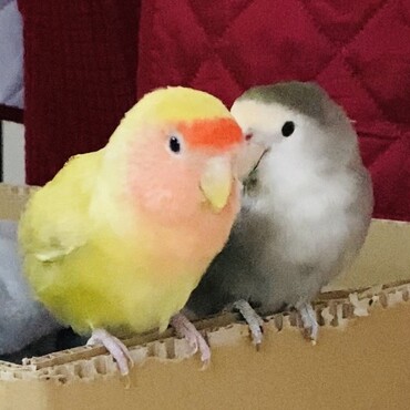 の写真