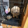 の写真