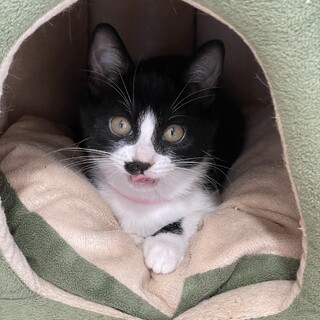 おてんば★とおの★早食い派