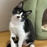 おてんば★とおの★早食い派 サムネイル4