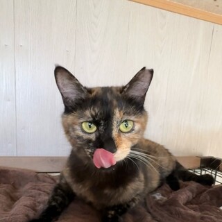 ベティちゃん、仲良くなれそう！