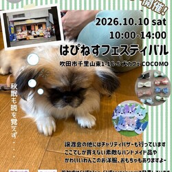 10/10　大阪府吹田市　犬カフェcocomoさんで　譲渡会！