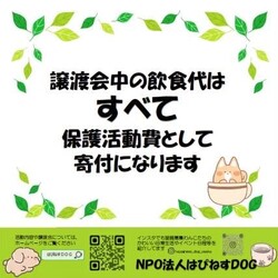 10/10　大阪府吹田市　犬カフェcocomoさんで　譲渡会！ サムネイル2
