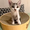 遊ぶの大好き♪元気いっぱい♡イビくん