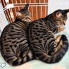 思わず見とれるほど美しい毛並みの猫 サムネイル2