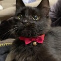 とっても懐っこいカシス君です！