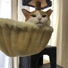 junnaさん