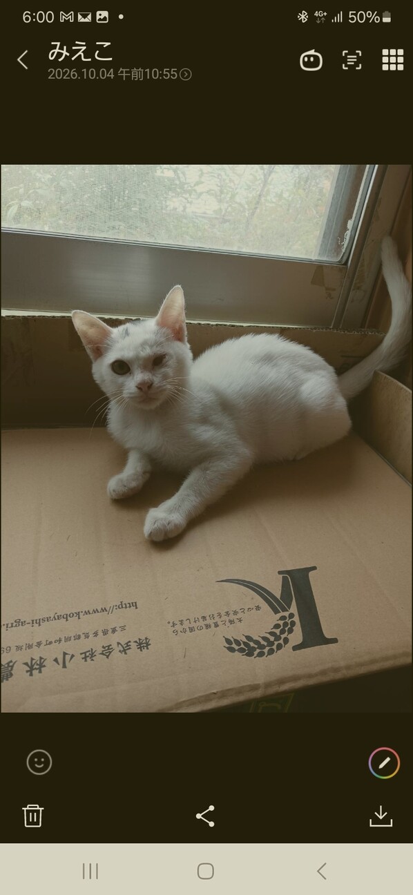 大事にしてくださる方募集します(^O^) サムネイル2