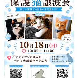 保護猫譲渡会Cat'seye