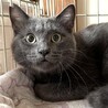 抱っこ大好き甘えんぼボーイ　ポシェット君