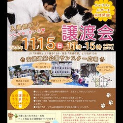 安満遺跡公園保護犬猫譲渡会