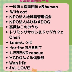 安満遺跡公園保護犬猫譲渡会 サムネイル2