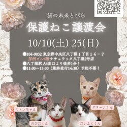 ★猫の未来とびら譲渡会★八丁堀徒歩2分