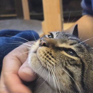 不器用な甘えん坊、あずき君
