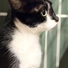 ちょっと怖がりな女の子　バカラ サムネイル2