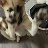 急募！性格はなまる以上。天真爛漫な子です。 サムネイル5