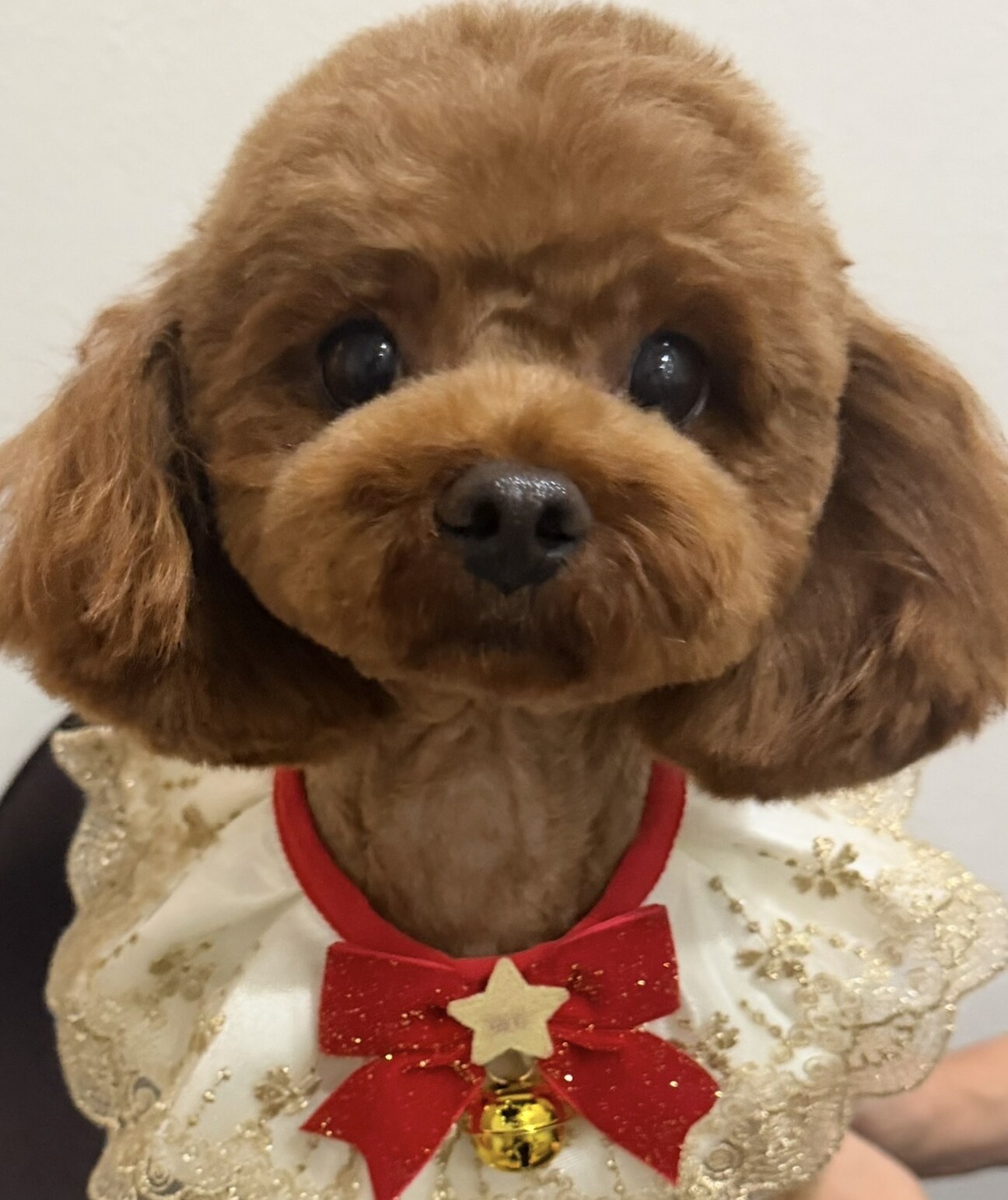 甘えん坊おんなのこ サムネイル1