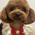 甘えん坊おんなのこ