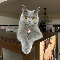 チロル