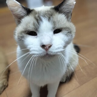 愛嬌あるお顔にデレッデレの性格です‪‪♡