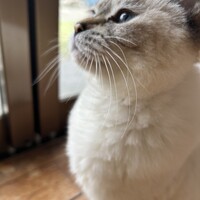 キキ