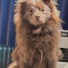 蛇好き生き物好き