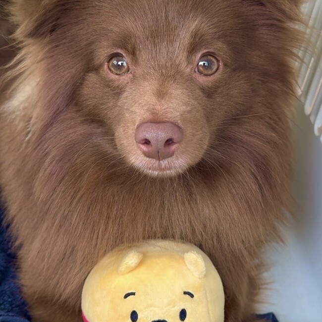蛇好き生き物好きのカバー写真
