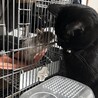 栞Ü