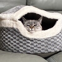 むぎ