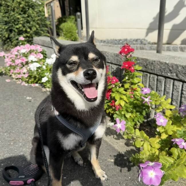 Ala13のカバー写真
