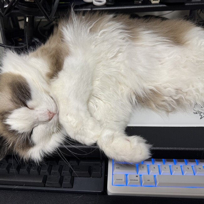 玄澤のカバー写真