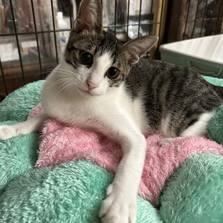 目が見えませんが人も大好き♡無邪気なあさひ君