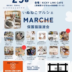 いぬねこチャリティマルシェ　保護猫譲渡会