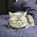 ありがとうございました