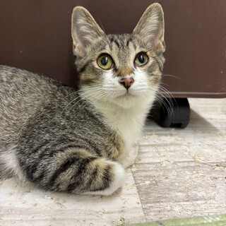 怖いもの知らずのフィ〜ちゃん