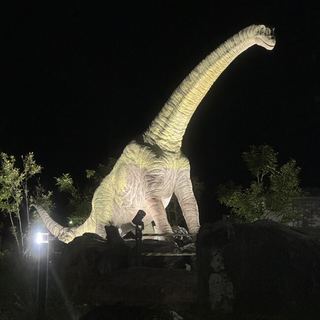 　yumikororin28のカバー写真