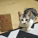 とっても可愛いです！