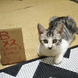 とっても可愛いです！